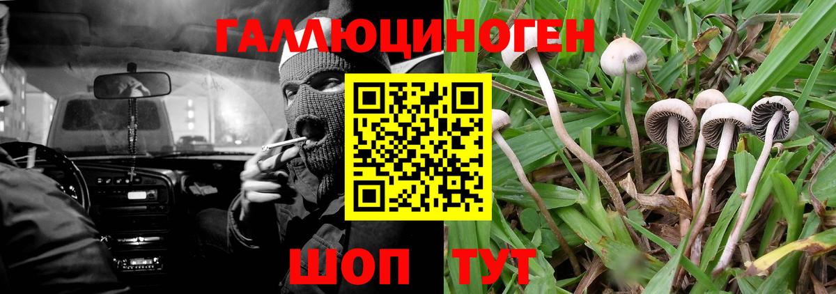 Галлюциногенные грибы Cubensis  Галлюциногенные грибы ЛСД  Вход с VPN  Павловский Посад 